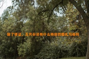 除了领证，五月份还有什么特别的婚礼习俗吗