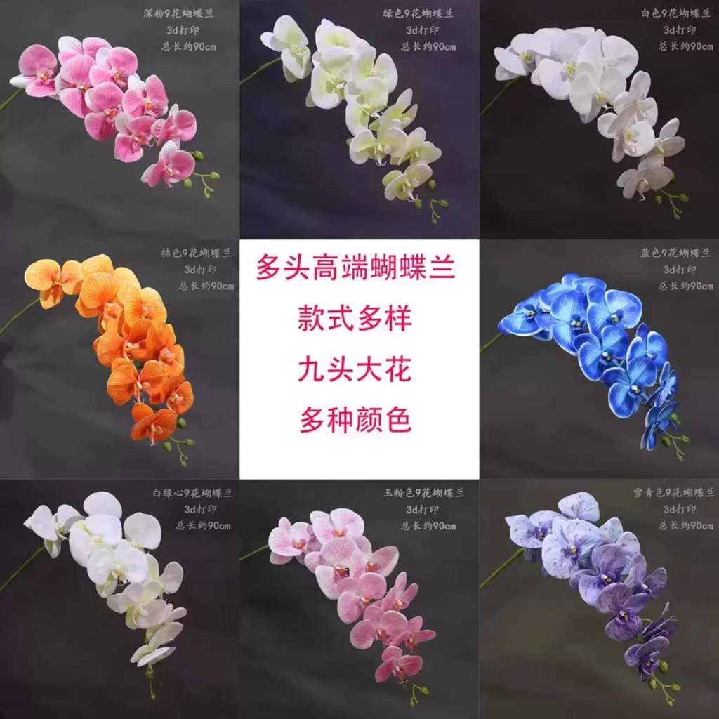 蝴蝶兰手捧花图片