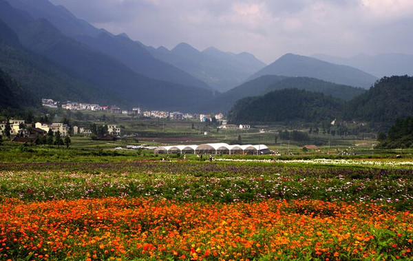 重庆拍婚纱照哪个外景地最美 盘点重庆婚纱照拍摄景点