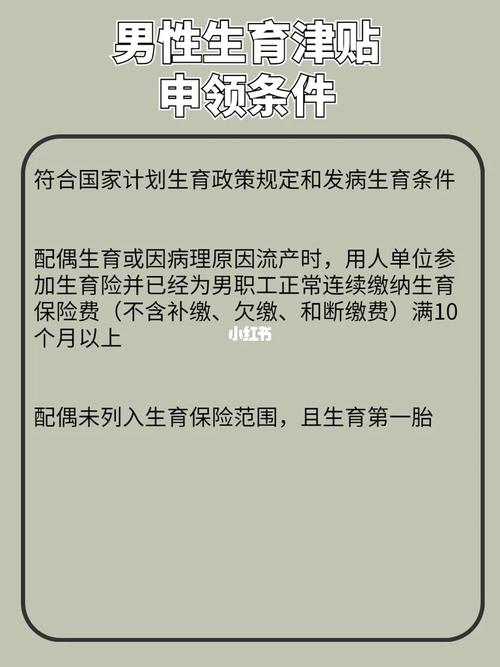 陪产假的申请流程是怎样的