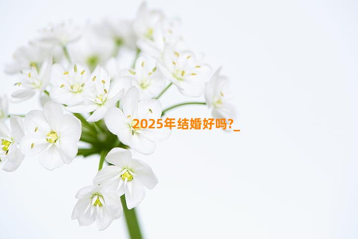 2025年结婚好吗?
