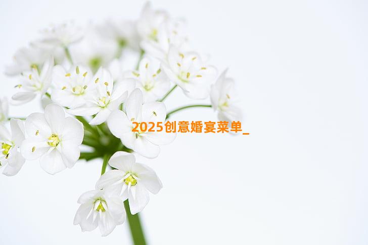 2025创意婚宴菜单
