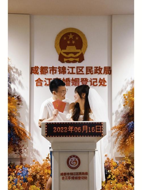 给我一些婚姻登记处的成功案例