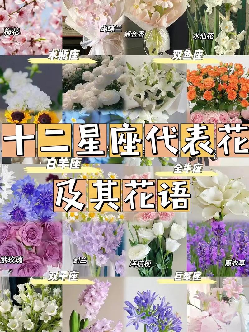 金牛座戒指的花语是什么