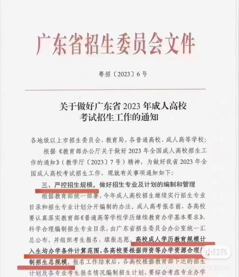 有没有什么特别的加分项推荐