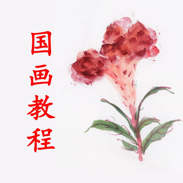 鸡冠花手捧花图片
