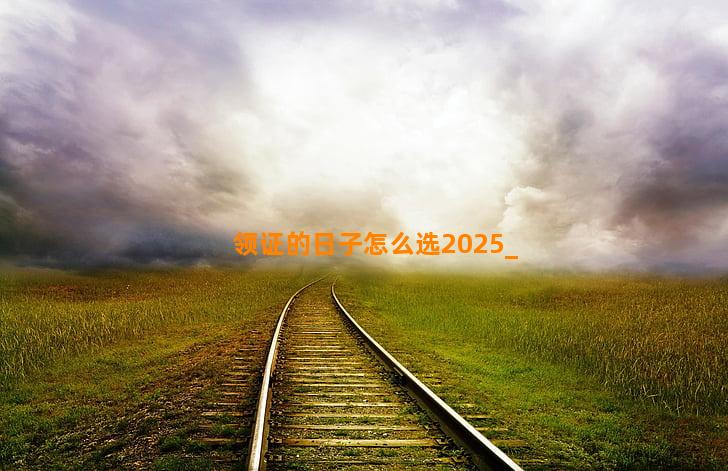 领证的日子怎么选2025
