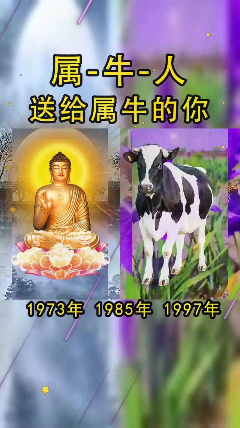 生肖牛与哪些属相的人最配