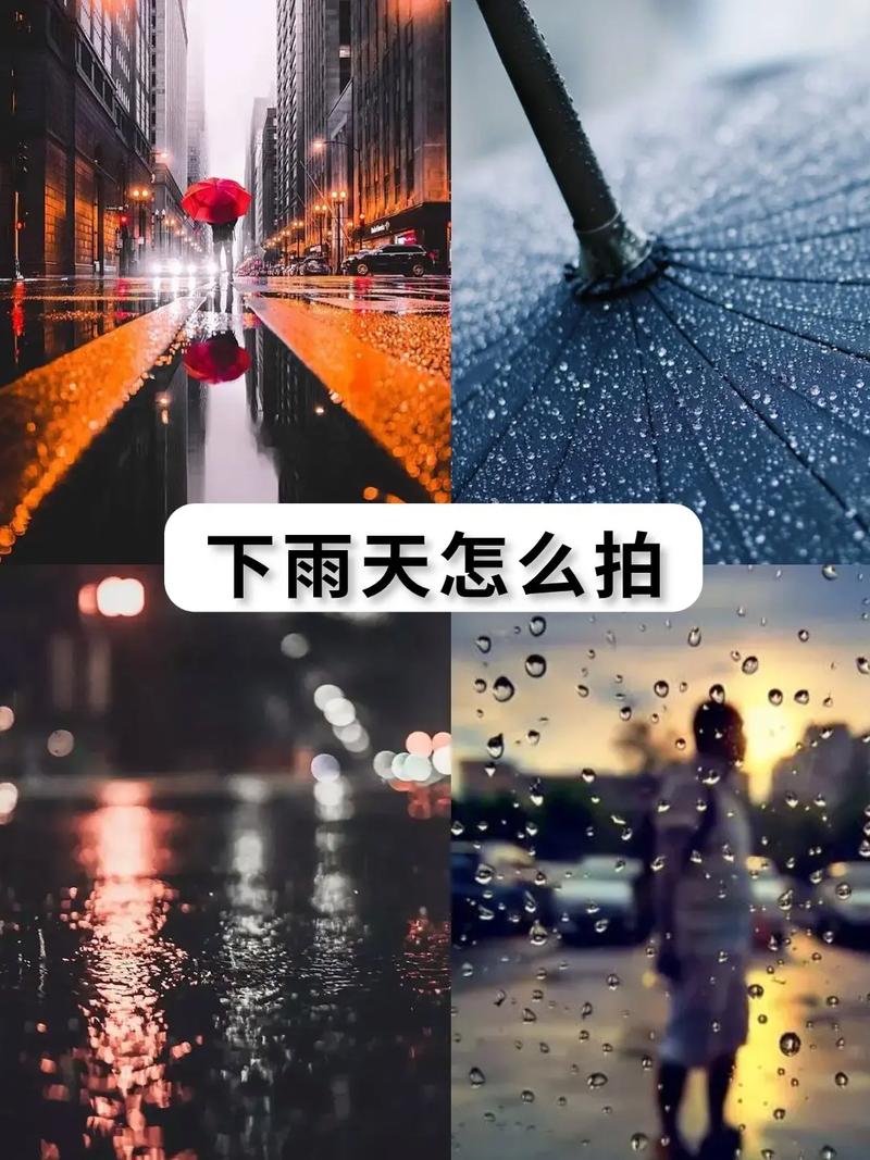 如果遇到雨天，应该如何调整拍摄计划