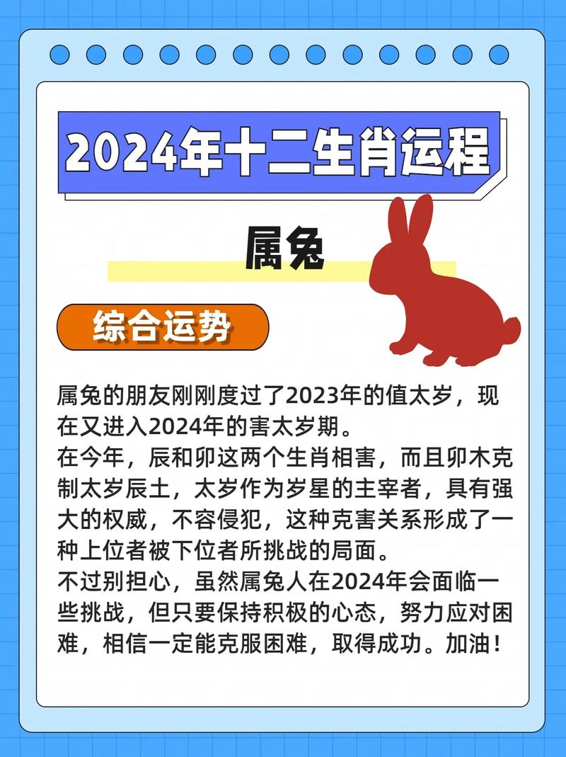 属兔的人在本命年应该怎么提升自己的运势