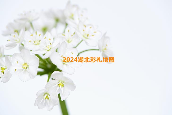 2024湖北彩礼地图