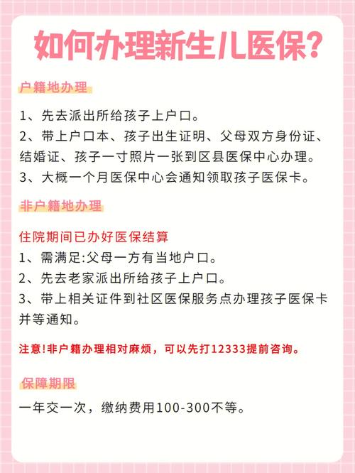 如何确保新生儿户口登记的准确性和及时性