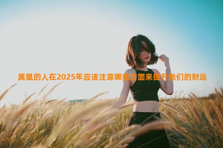 属鼠的人在2025年应该注意哪些方面来提升他们的财运