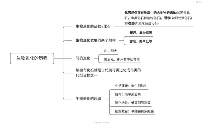 陶器婚的起源和发展历程是怎样的