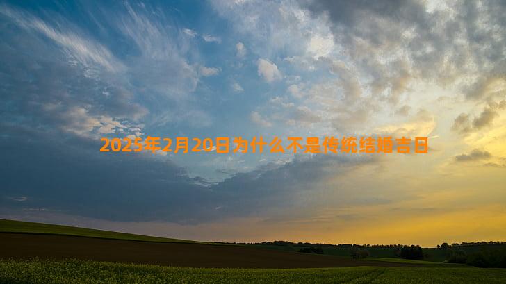 2025年2月20日为什么不是传统结婚吉日