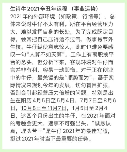 属牛的我今年在事业上需要注意什么