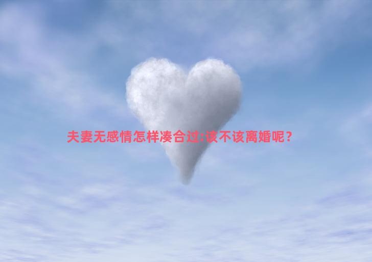 夫妻无感情怎样凑合过:该不该离婚呢？