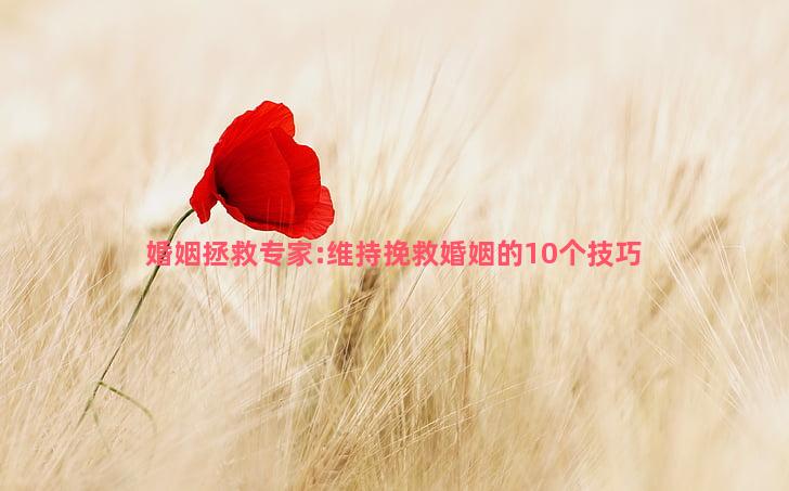 婚姻拯救专家:维持挽救婚姻的10个技巧