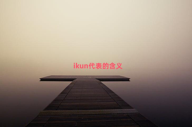 ikun代表的含义