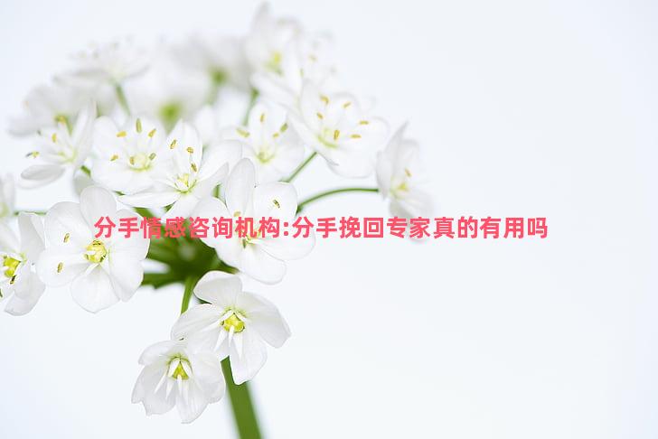 分手情感咨询机构:分手挽回专家真的有用吗