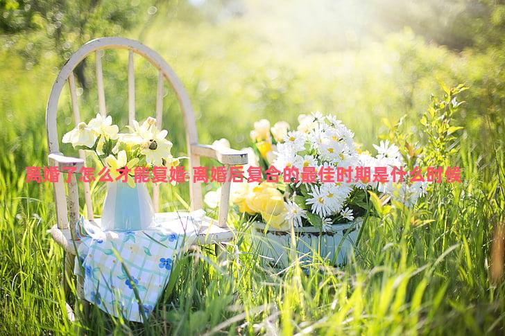 离婚了怎么才能复婚 离婚后复合的最佳时期是什么时候