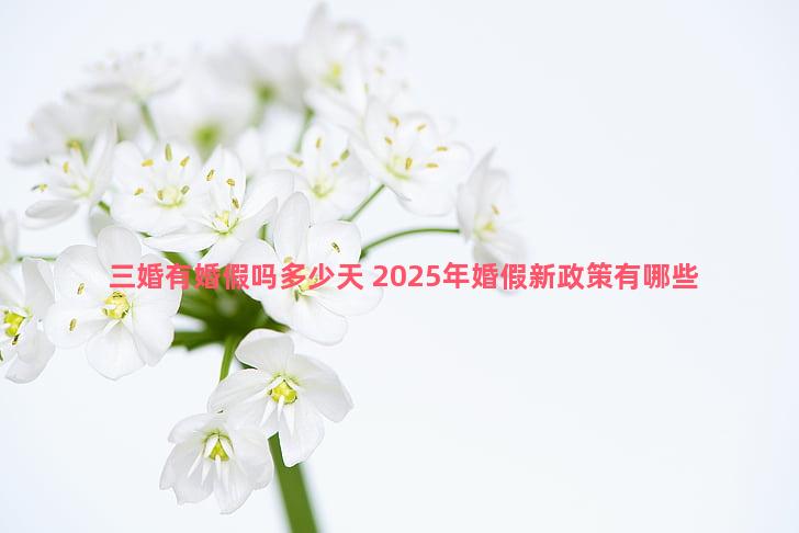 三婚有婚假吗多少天 2025年婚假新政策有哪些