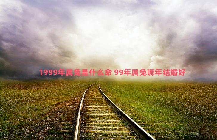 1999年属兔是什么命 99年属兔哪年结婚好