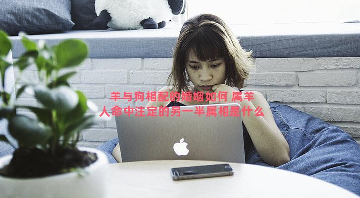 羊与狗相配的婚姻如何 属羊人命中注定的另一半属相是什么