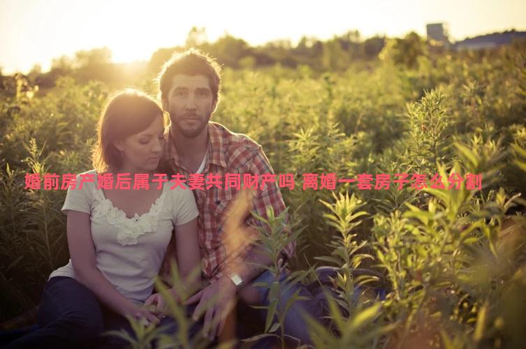 婚前房产婚后属于夫妻共同财产吗 离婚一套房子怎么分割