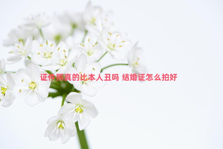 证件照真的比本人丑吗 结婚证怎么拍好