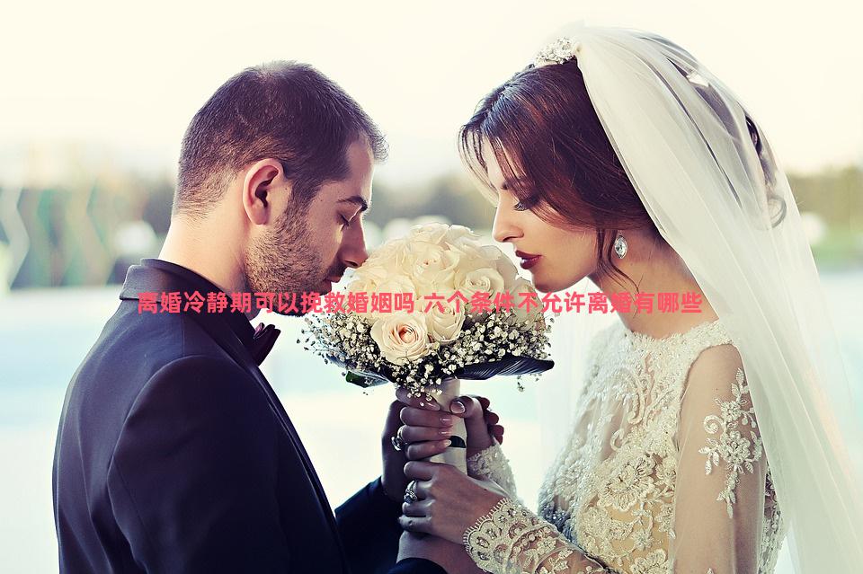 离婚冷静期可以挽救婚姻吗 六个条件不允许离婚有哪些