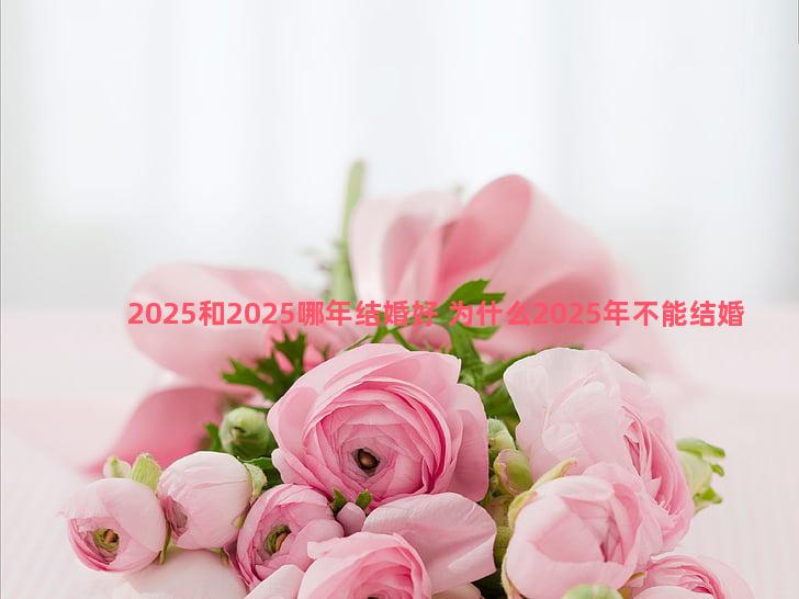 2025和2025哪年结婚好 为什么2025年不能结婚