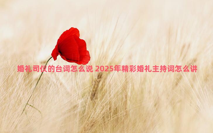 婚礼司仪的台词怎么说 2025年精彩婚礼主持词怎么讲