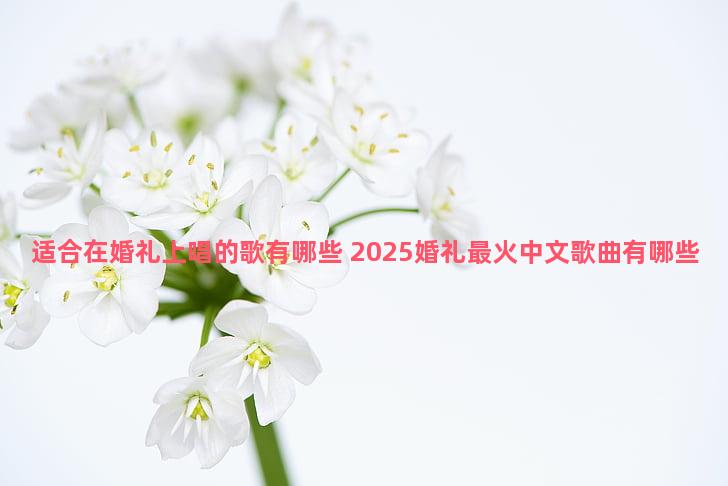 适合在婚礼上唱的歌有哪些 2025婚礼最火中文歌曲有哪些