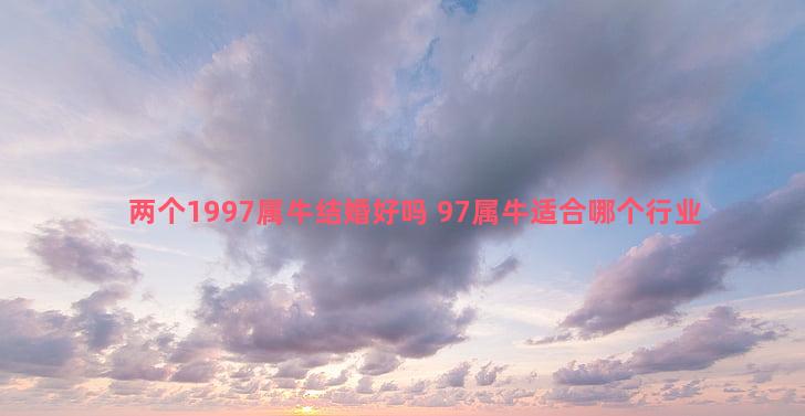 两个1997属牛结婚好吗 97属牛适合哪个行业