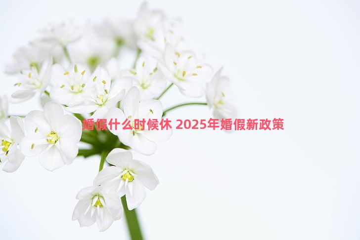 婚假什么时候休 2025年婚假新政策