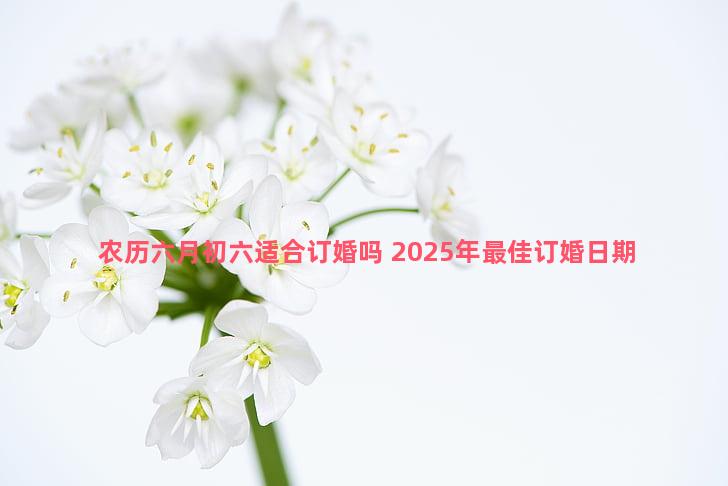 农历六月初六适合订婚吗 2025年最佳订婚日期