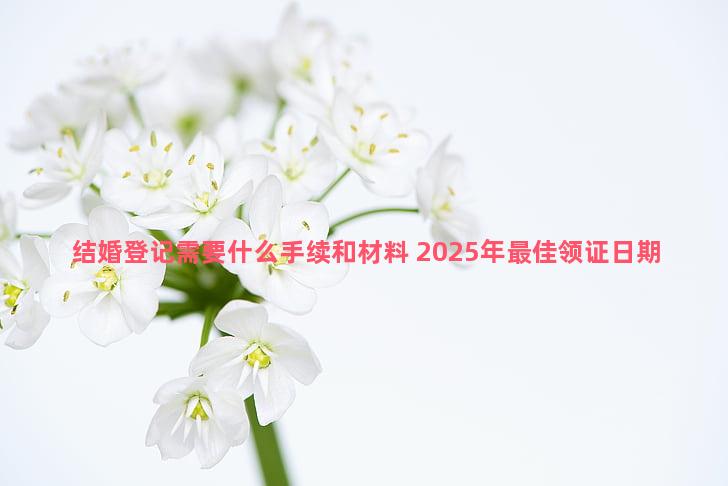 结婚登记需要什么手续和材料 2025年最佳领证日期