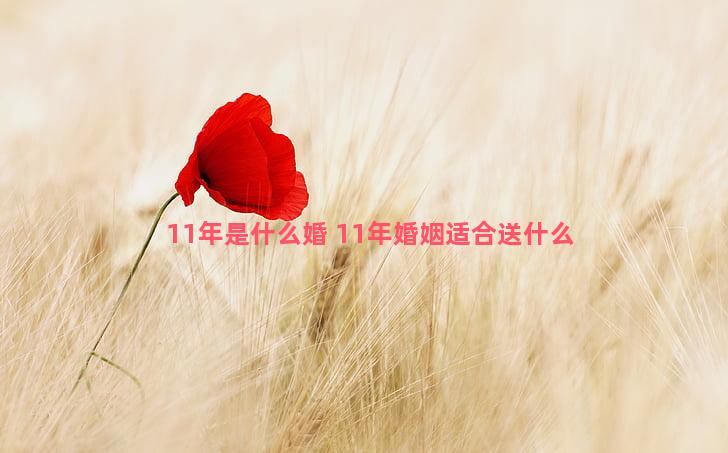 11年是什么婚 11年婚姻适合送什么