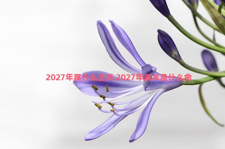 2027年属什么生肖 2027年属羊是什么命