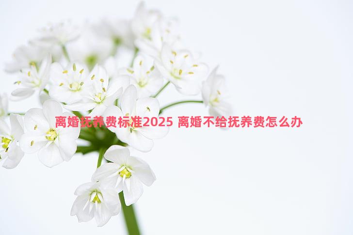 离婚抚养费标准2025 离婚不给抚养费怎么办