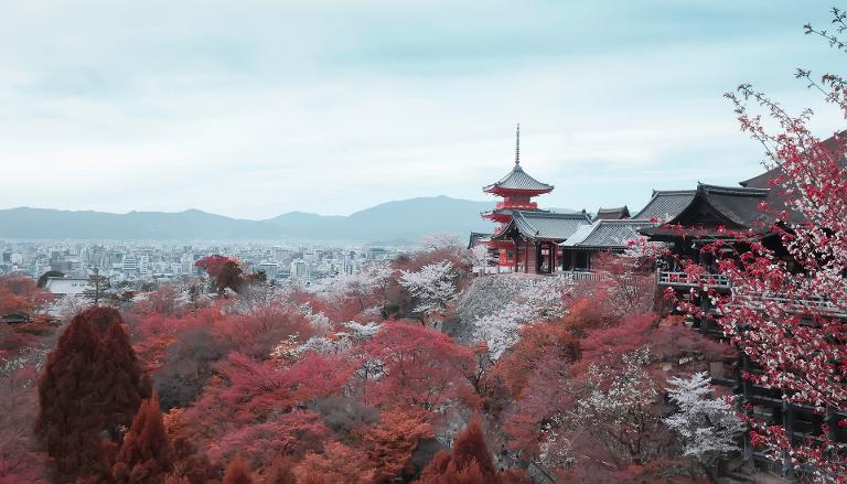 蜜月去哪里好 国外十大蜜月圣地推荐