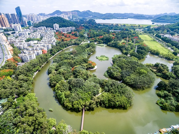 深圳拍婚纱照的景点推荐  深圳拍婚纱照需要多少钱