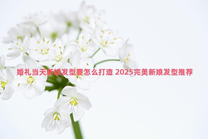 婚礼当天新娘发型要怎么打造 2025完美新娘发型推荐