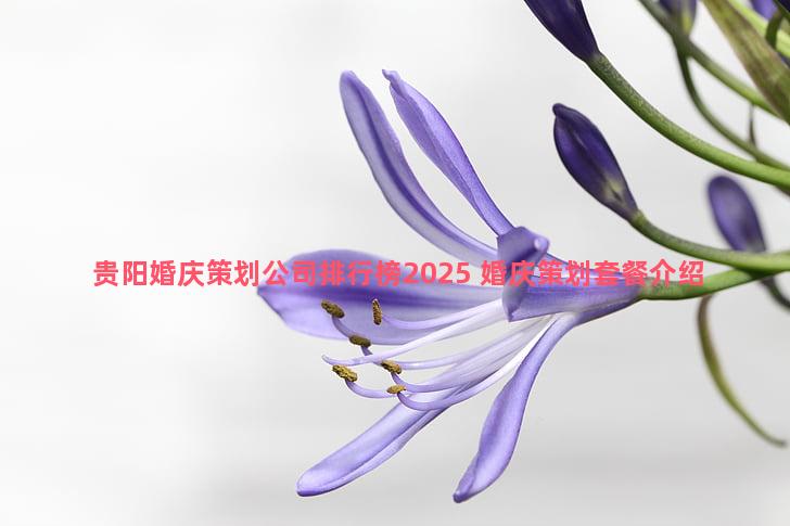 贵阳婚庆策划公司排行榜2025 婚庆策划套餐介绍