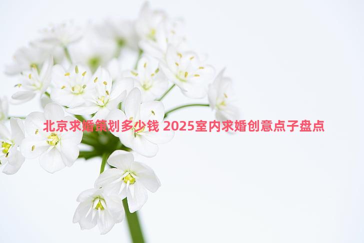 北京求婚策划多少钱 2025室内求婚创意点子盘点