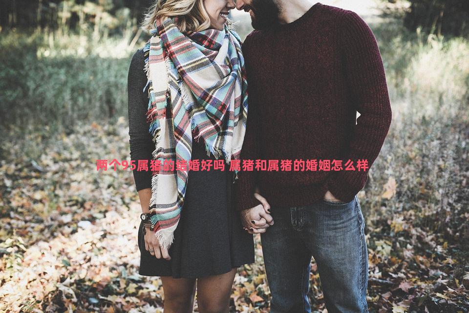 两个95属猪的结婚好吗 属猪和属猪的婚姻怎么样