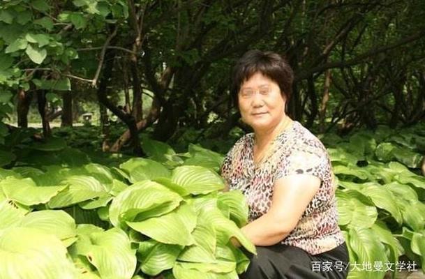 爸妈都快50岁了要离婚,妈亲想再婚