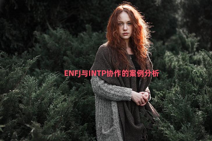 ENFJ与INTP协作的案例分析