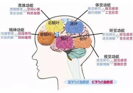 判断性取向的方法